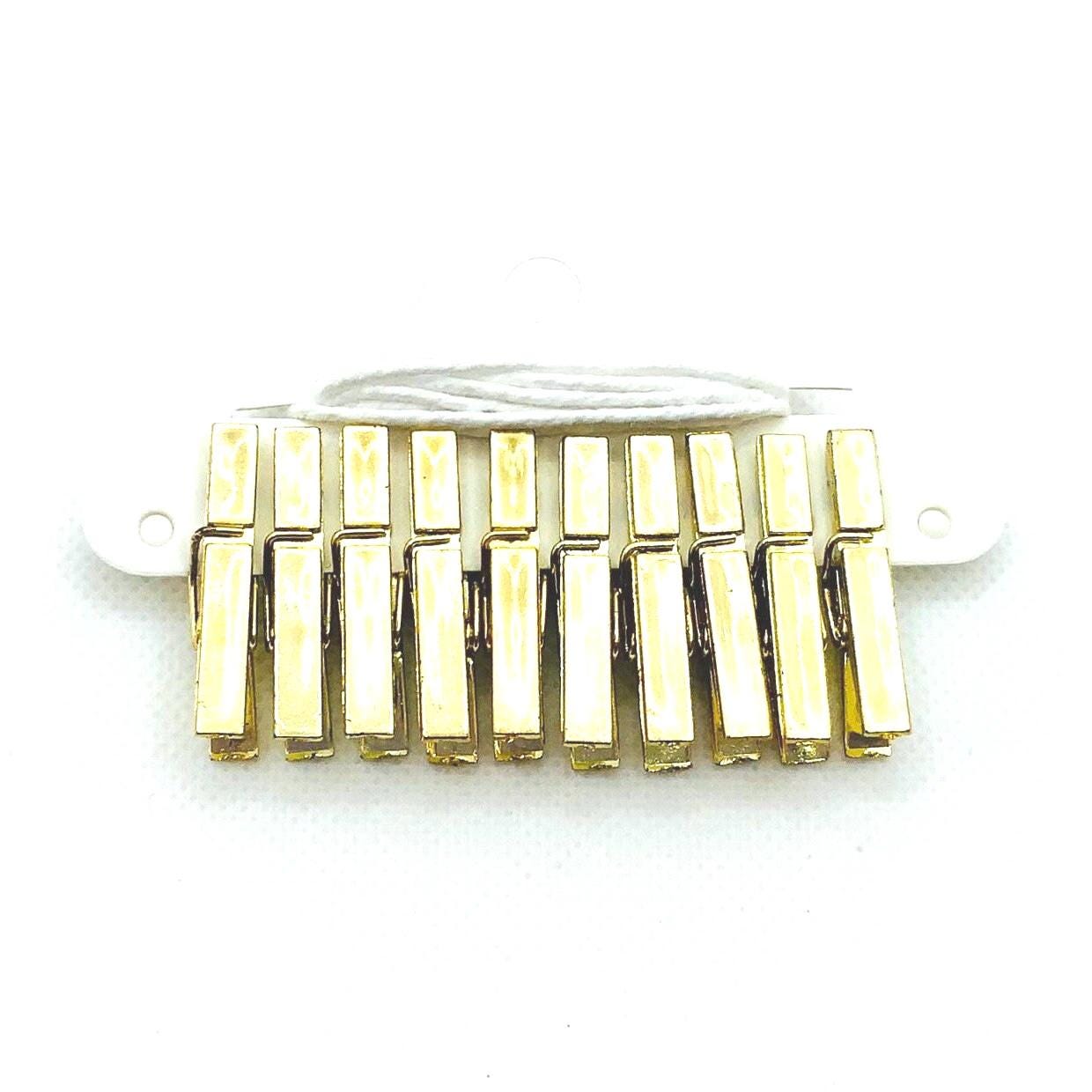 Metallic Pegs 10PK With 1.5m Twine