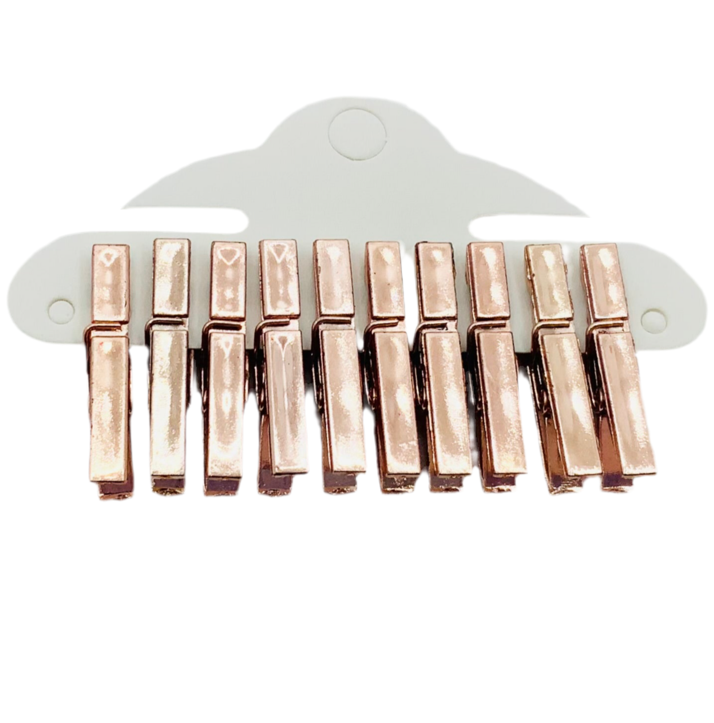 Metallic Pegs 10PK With 1.5m Twine