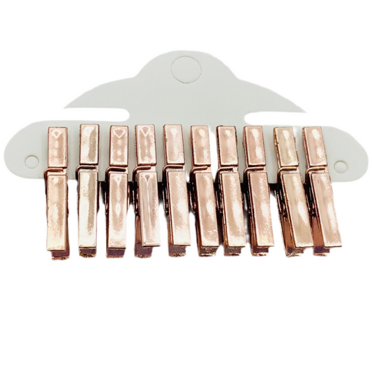 Metallic Pegs 10PK With 1.5m Twine