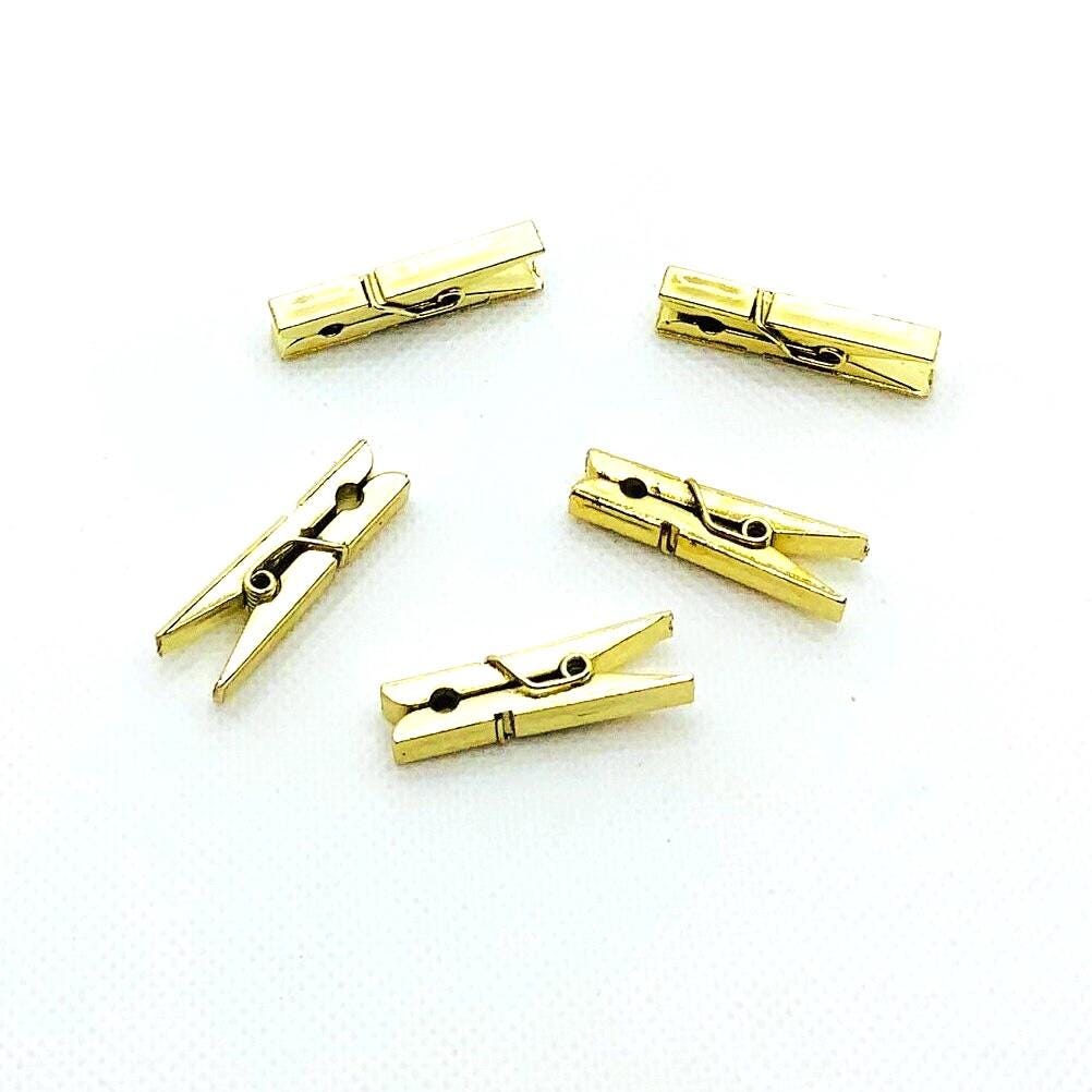 Metallic Pegs 10PK With 1.5m Twine